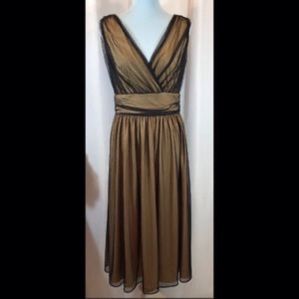 🌻Cami International sz6 Vintage BlackMesh Dress🌻